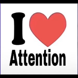 Meet your Posher, Grey